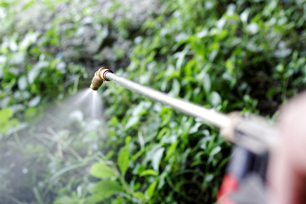 person spraying paraquat