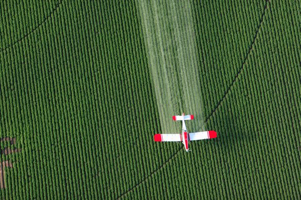 plane spraying paraquat on field