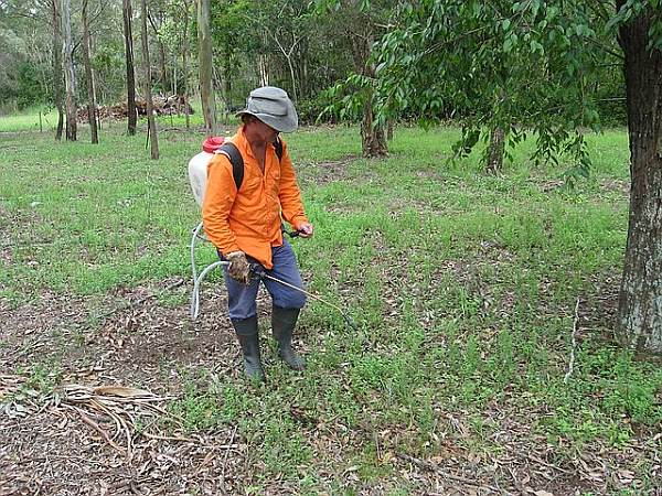 A man spraying Roundup weedkiller